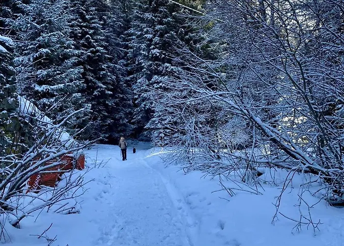 Apartment Le Pic Noire *